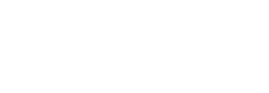 Leibniz-Institut für Geschichte und Kultur des östlichen Europa (GWZO)